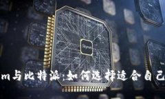 深入分析Tokenim与比特派：