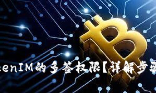 如何解除TokenIM的多签权限？详解步骤与注意事项