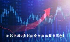 如何使用U盘创建安全的比