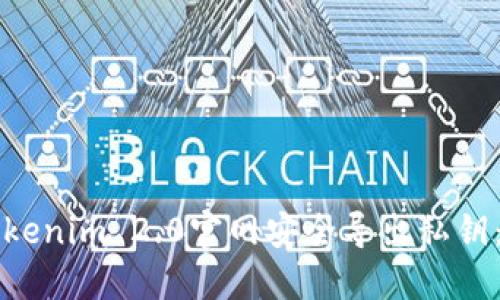 如何在Tokenim 2.0官网安全导出私钥：全面指南
