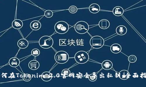 如何在Tokenim 2.0官网安全导出私钥：全面指南