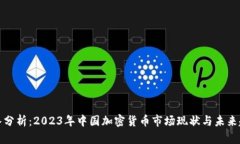 深入分析：2023年中国加密