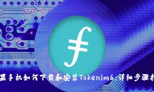 苹果手机如何下载和安装Tokenim6：详细步骤指南