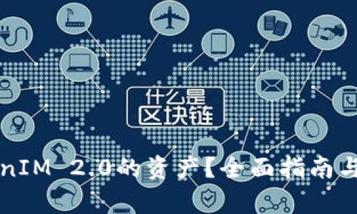 如何查询TokenIM 2.0的资产？全面指南与重要功能解析