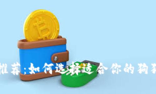狗狗币钱包推荐：如何选择适合你的狗狗币存储方案