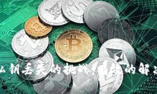 如何应对冷钱包私钥丢失的挑战：有效的解决方案与预防措施