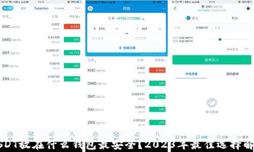 
USDT放在什么钱包最安全？2023年最佳选择解析