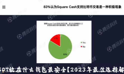 
USDT放在什么钱包最安全？2023年最佳选择解析