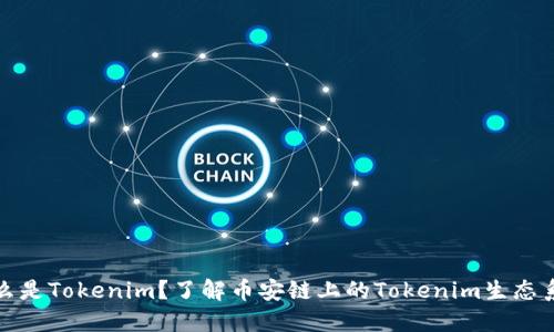 什么是Tokenim？了解币安链上的Tokenim生态系统