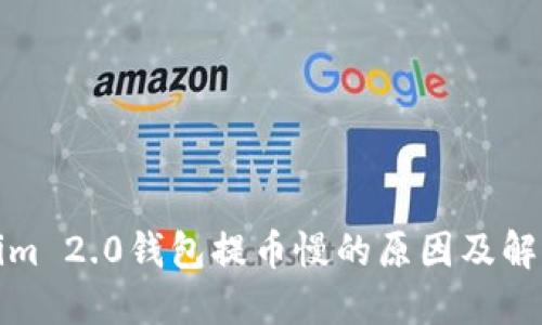 Tokenim 2.0钱包提币慢的原因及解决方法