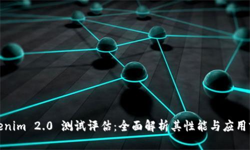 Tokenim 2.0 测试评估：全面解析其性能与应用前景