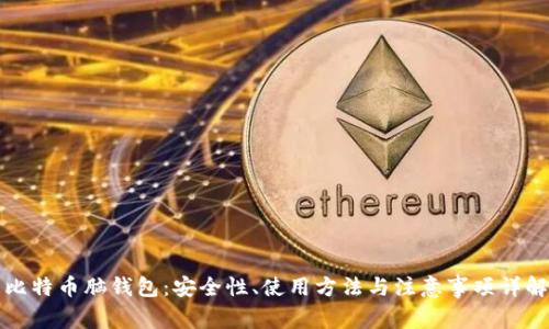 比特币脑钱包：安全性、使用方法与注意事项详解