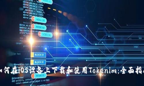 如何在iOS设备上下载和使用Tokenim：全面指南