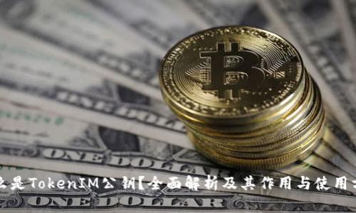 什么是TokenIM公钥？全面解析及其作用与使用方法