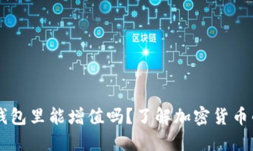 SHIB币放在钱包里能增值吗？了解加密货币的风险与机会