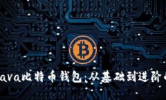 构建一个Java比特币钱包：
