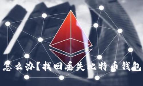 比特币钱包丢失了怎么办？找回丢失比特币钱包的有效方法和建议
