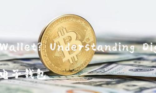 Title: What is an Electronic Wallet? Understanding Digital Currency and E-Wallets

什么是电子钱包？理解数字货币和电子钱包