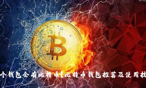 哪个钱包会有比特币？比特币钱包推荐及使用技巧