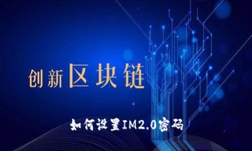 如何设置IM2.0密码