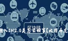 误将比特币转入IM2.0是怎么回事？比特币充错如何