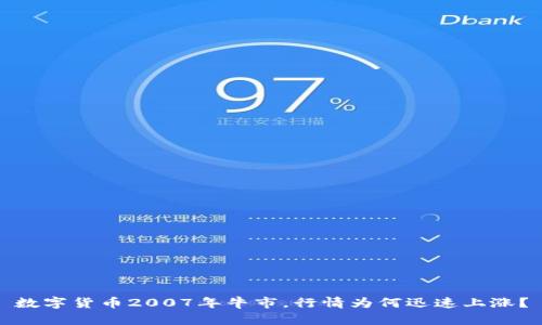 数字货币2007年牛市，行情为何迅速上涨？