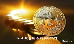 什么钱包适合购买USDT？