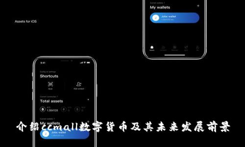 介绍ccmall数字货币及其未来发展前景
