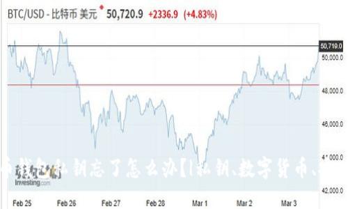 比特币钱包私钥忘了怎么办？|私钥、数字货币、安全问题