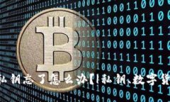 比特币钱包私钥忘了怎么办？|私钥、数字货币、