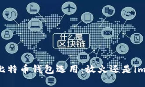 比特币钱包选用：放火还是im？