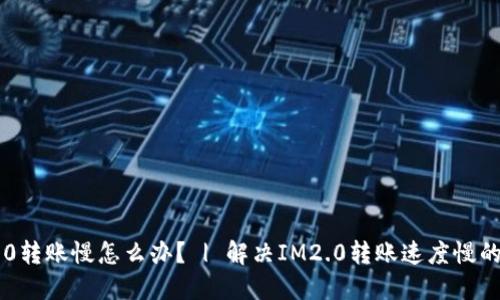 IM2.0转账慢怎么办？ | 解决IM2.0转账速度慢的问题