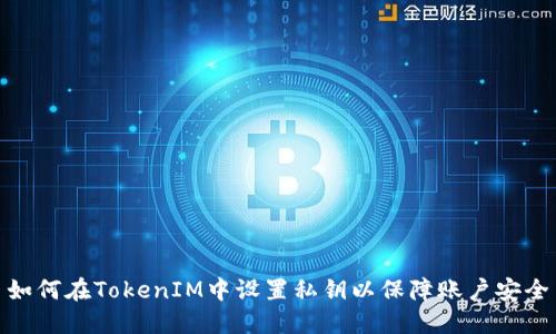 如何在TokenIM中设置私钥以保障账户安全