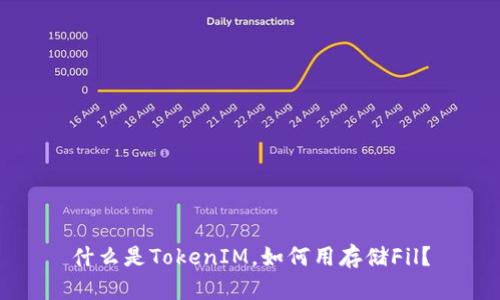 什么是TokenIM，如何用存储Fil？