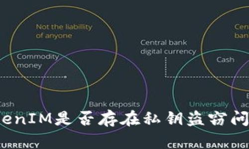 TokenIM是否存在私钥盗窃问题？