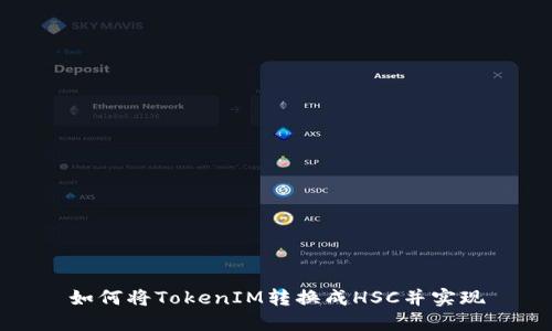 如何将TokenIM转换成HSC并实现