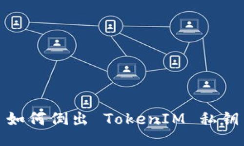 如何倒出 TokenIM 私钥