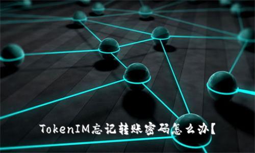 TokenIM忘记转账密码怎么办？