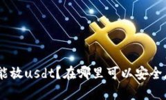 什么钱包能放usdt？在哪里可以安全存储usdt？