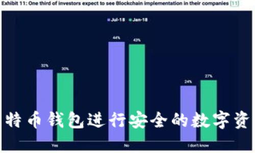 使用比特币钱包进行安全的数字资产管理