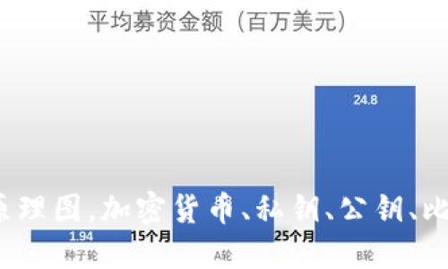 探究比特币钱包原理图，加密货币、私钥、公钥、比特币地址是什么？