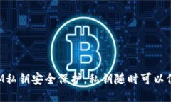 TokenIM私钥安全保护，私钥随时可以倒出来吗