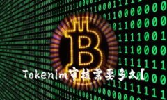 Tokenim审核需要多久？