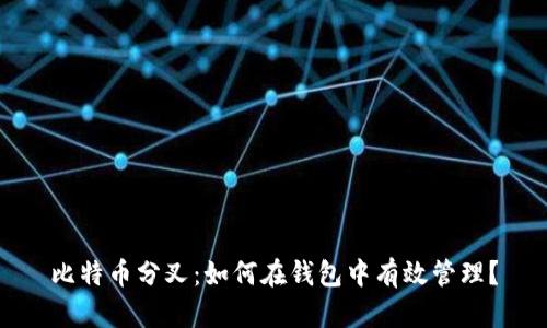 比特币分叉：如何在钱包中有效管理？