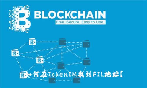 如何在TokenIM找到FIL地址？